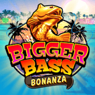 bolasenja